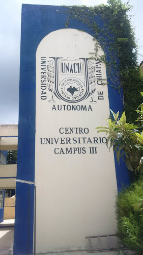 escuela de inglés San Cristóbal de las Casas