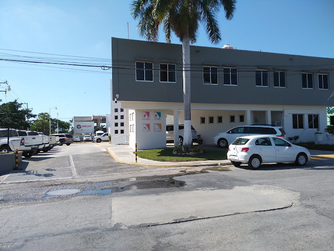 escuela de inglés Palizada