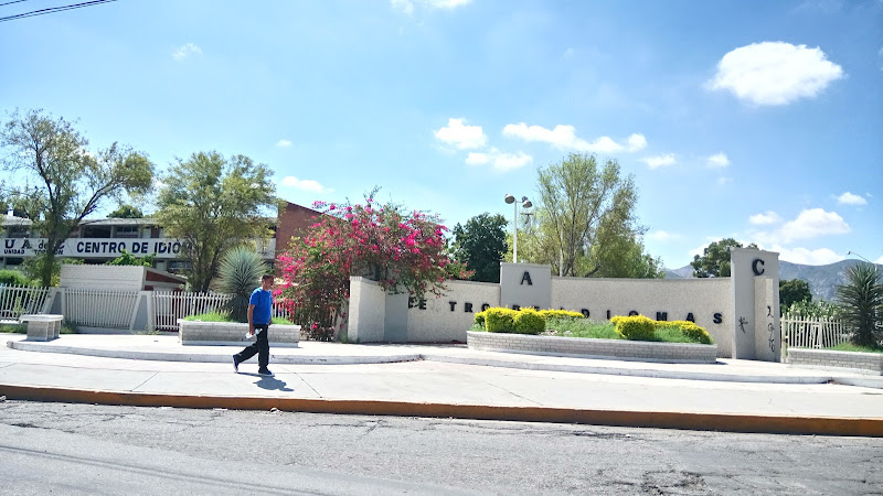 escuela de inglés Coahuila