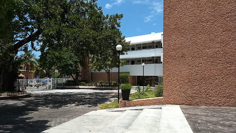 escuela de inglés Ciudad del Carmen