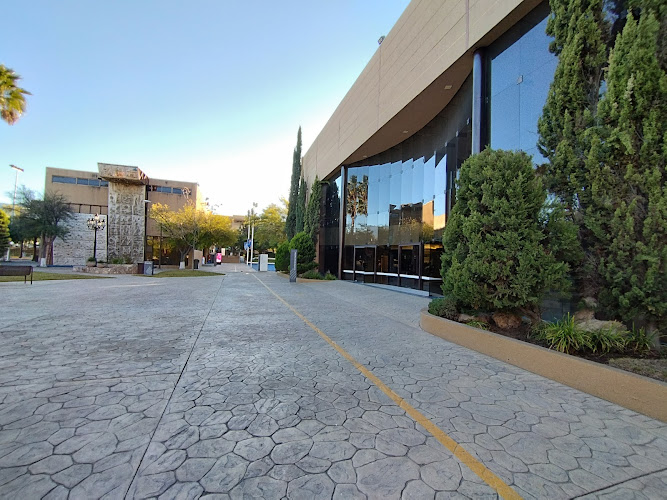 escuela de inglés Coahuila