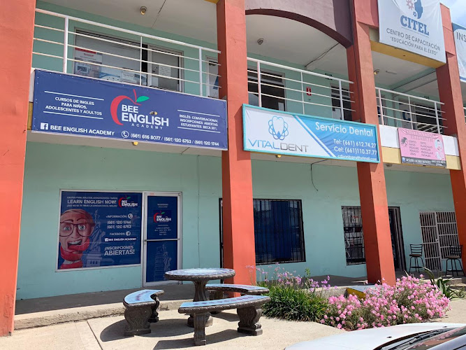 escuela de inglés Rosarito