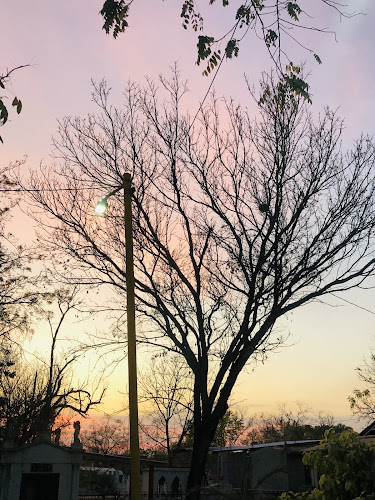 escuela de manejo Apatzingán