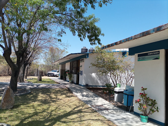 escuela de inglés Calvillo