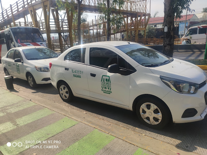 escuela de manejo Michoacán