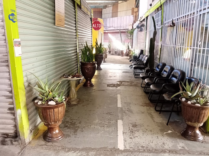 escuela de manejo Tijuana