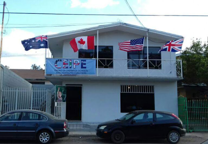 escuela de inglés El Hongo