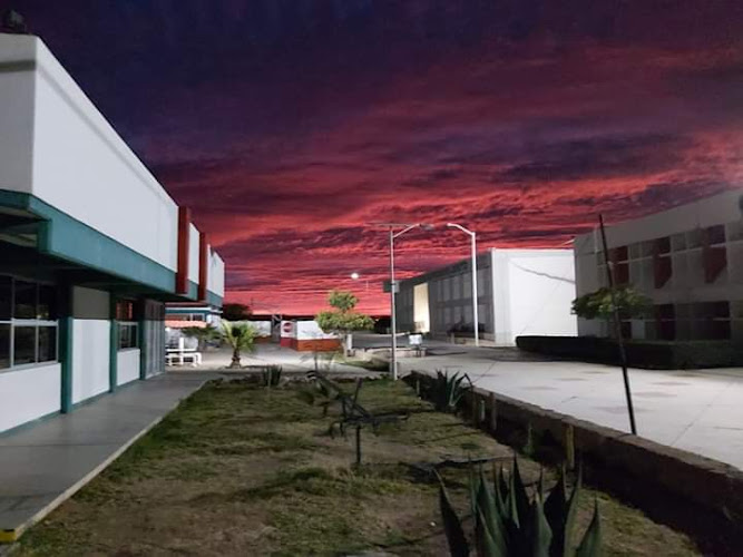 escuela de inglés Loreto