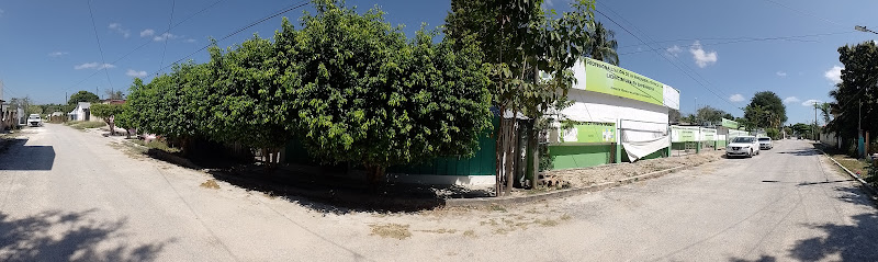 escuela de inglés Candelaria