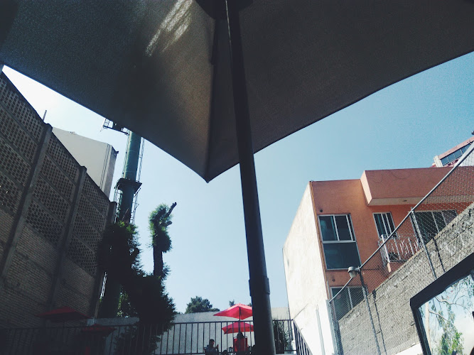 escuela de inglés Coyoacán
