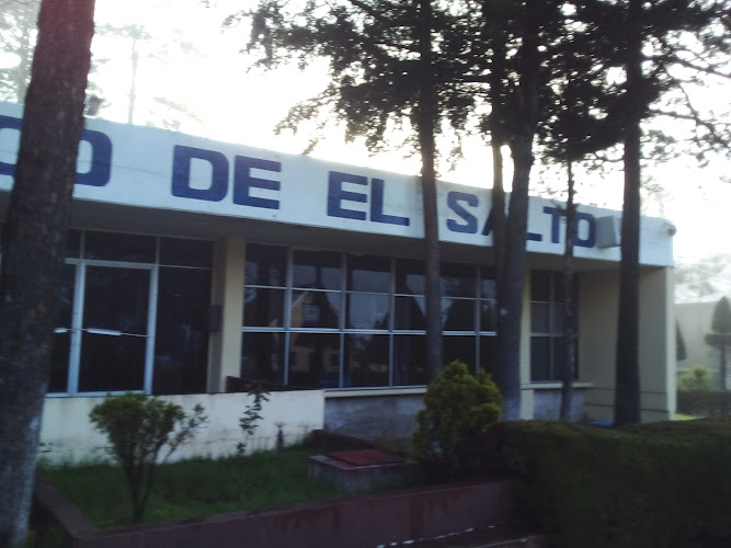 escuela de inglés Pueblo Nuevo (El Salto)