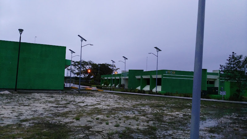 escuela de inglés Candelaria