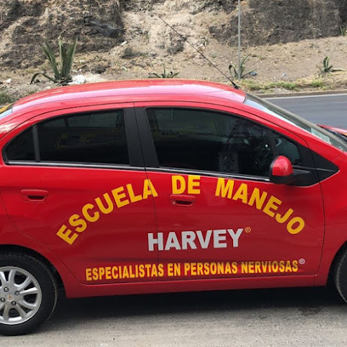 escuela de manejo La Magdalena Contreras