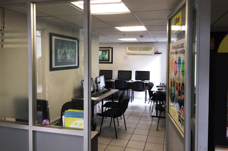 escuela de inglés Coyoacán