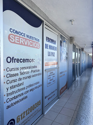 escuela de manejo La Paz