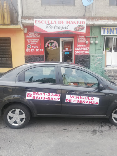escuela de manejo Tlalpan