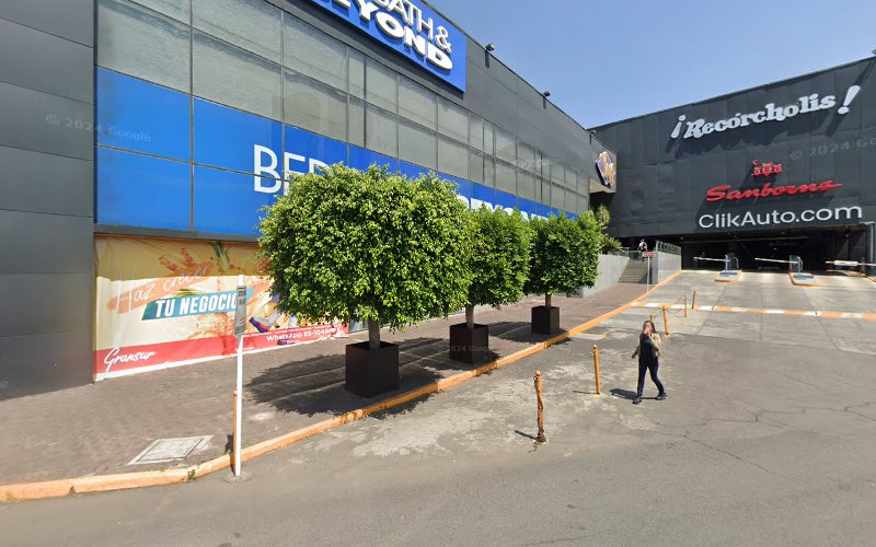 escuela de inglés Coyoacán