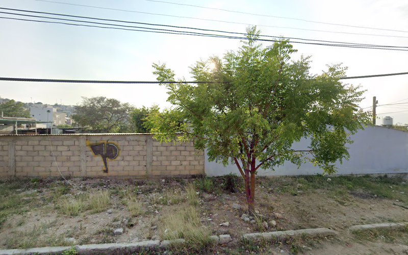 escuela de inglés Chiapas