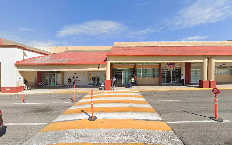 escuela de aviación Querétaro