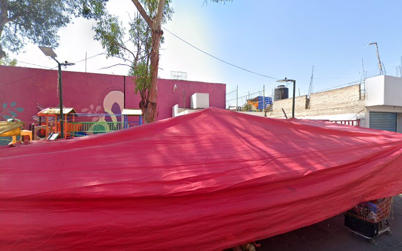 escuela de manejo CDMX