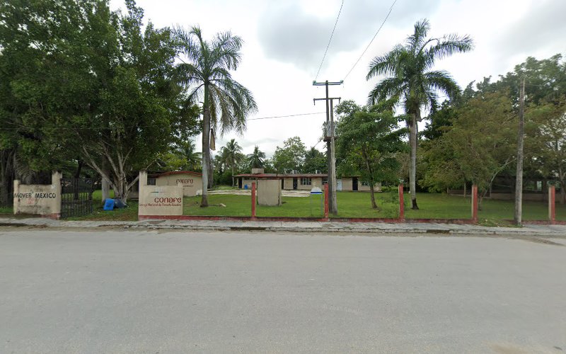 escuela de inglés Candelaria