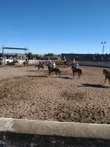 escuela de manejo Guadalupe Victoria