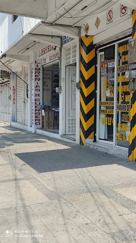 escuela de manejo Chilpancingo de los Bravo