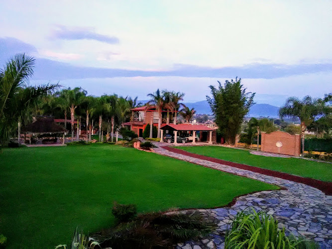 escuela de manejo Ameca