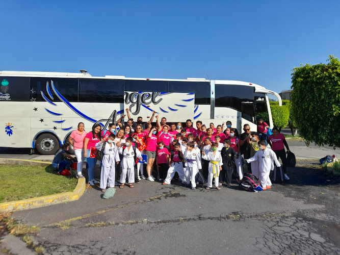 escuela de manejo Tecpan de Galeana