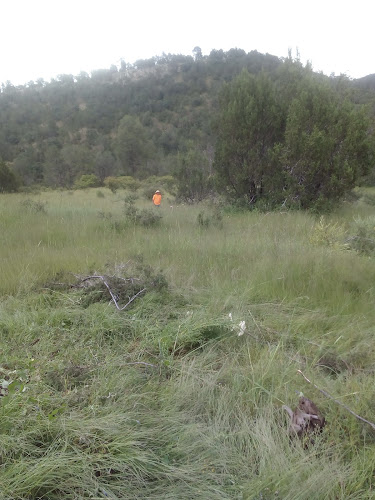 escuela de manejo Santiago Papasquiaro