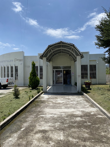 escuela de manejo Tepeji del Río de Ocampo