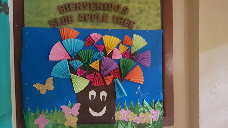 escuela de manejo Manzanillo