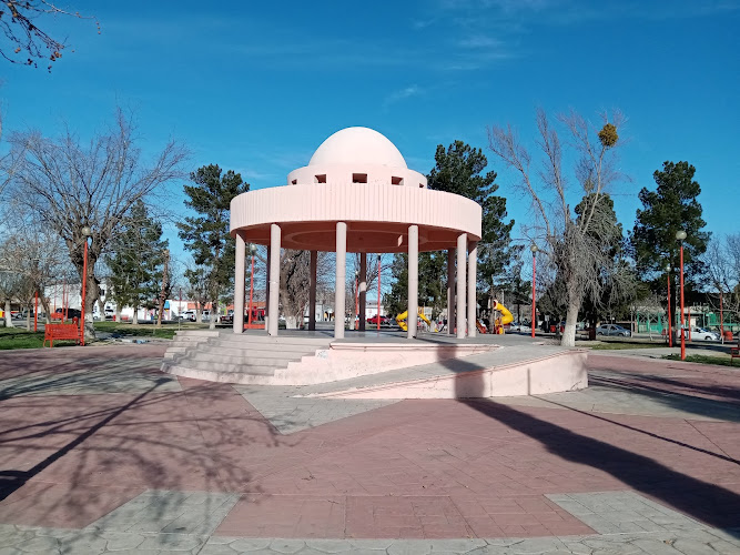 escuela de manejo Nuevo Casas Grandes