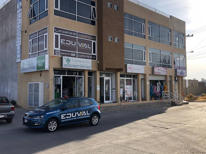 escuela de manejo San José Iturbide