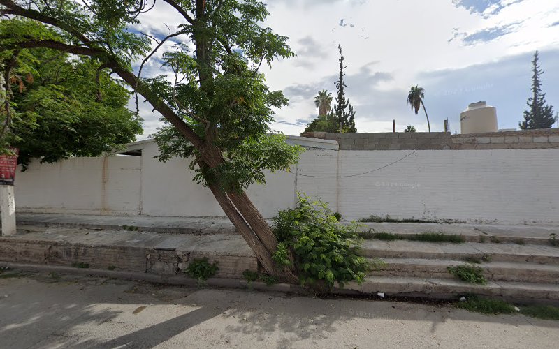 escuela de manejo Lerdo