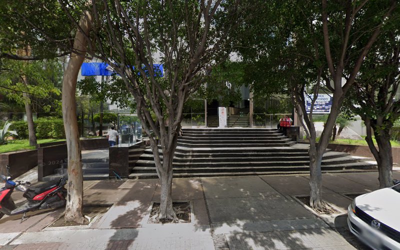 escuela de manejo Guadalajara