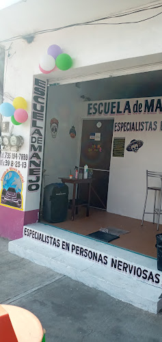 escuela de manejo Ayala