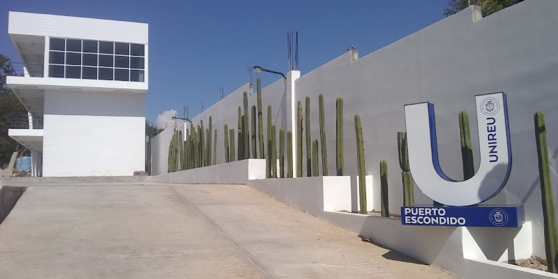 escuela de manejo Puerto Escondido