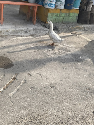 escuela de manejo Guadalupe