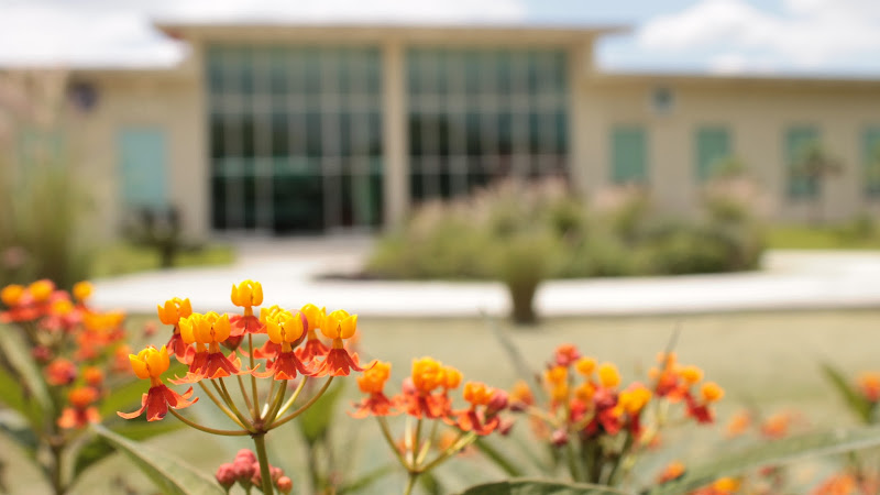 escuela de manejo Linares