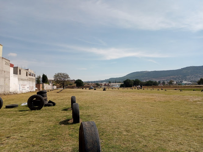 escuela de manejo Amozoc