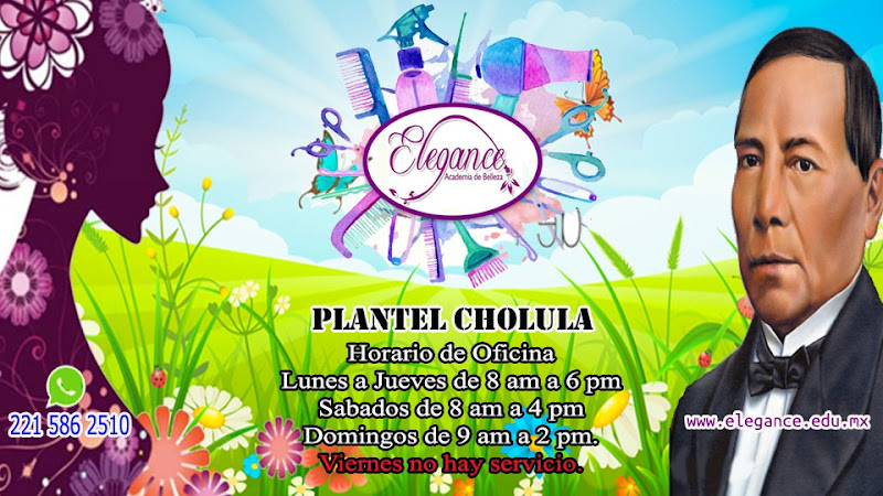 escuela de manejo Cholula