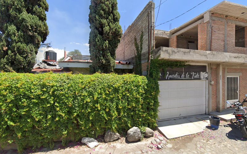 escuela de manejo Xalisco