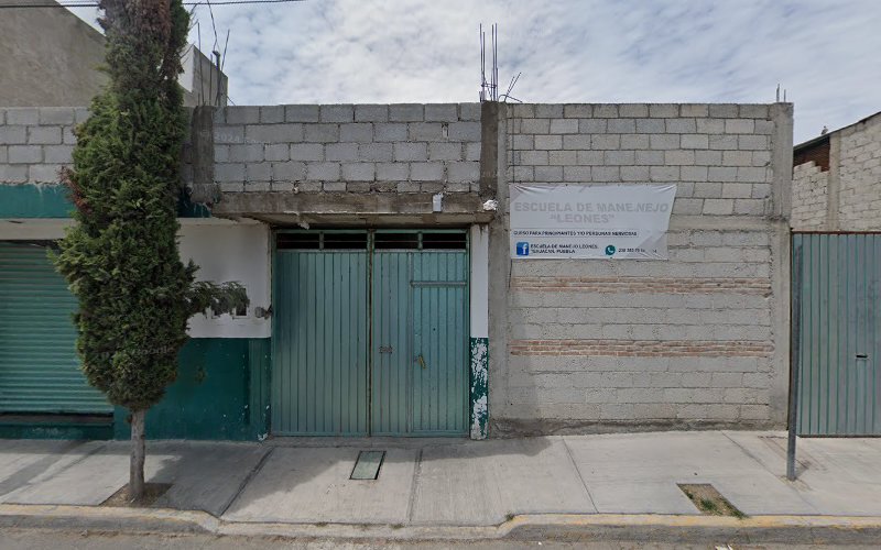 escuela de manejo Tehuacán