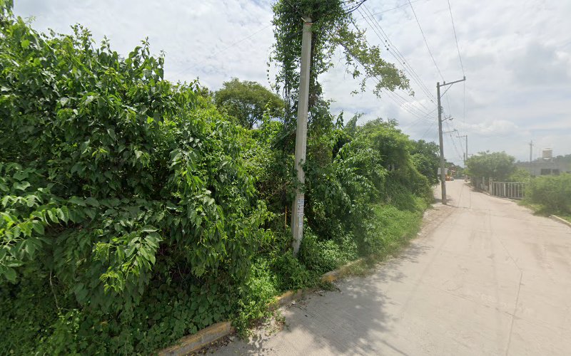 escuela de manejo Morelos