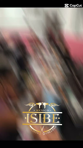 escuela de manejo Altamira