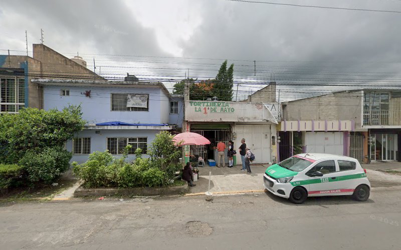 escuela de manejo Xalapa