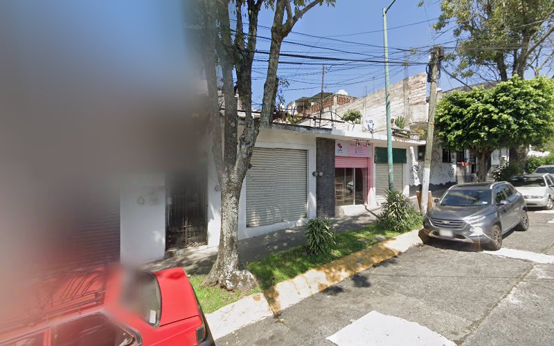 escuela de manejo Xalapa