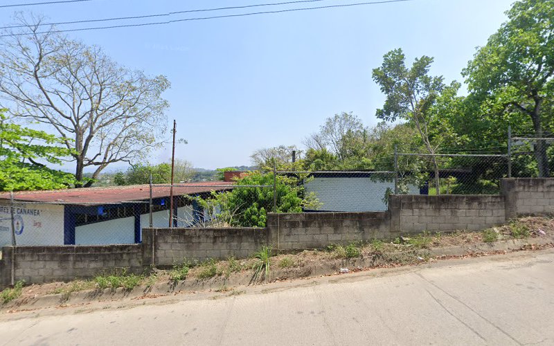 escuela de manejo Tamazunchale