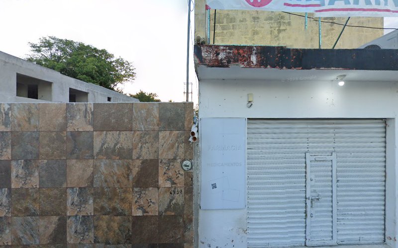 escuela de manejo Tizimín